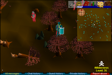 Forest of Evil