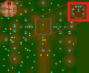 The Grand Tree map 1