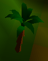 Palm tree (nice)