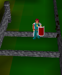 Barbarian Course Low wall