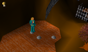 Wilderness Agility Course1