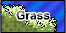 I T Grass