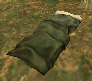 SleepingBagIngame