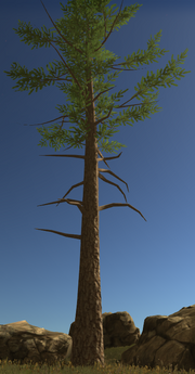 Arbre3