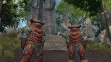 Flesh Raiders TOR