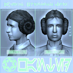 Leia wanted SWG