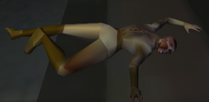 Coorta corpse