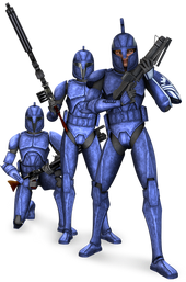 Senateguard detail
