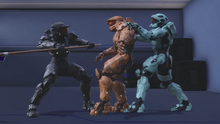 Biff used as shield