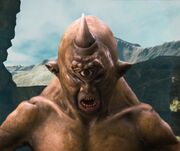 Grog