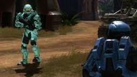 Carolina and Caboose