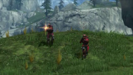 Reds attack