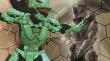 Carolina and Grey in shield