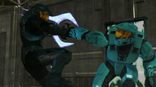 Tex & Tucker fighting