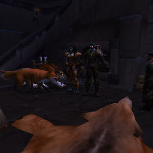 Blut Ist Dicker Als Wasser Der Rat Von Dalaran Wiki Fandom