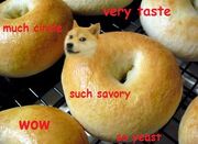 Doge Bagel