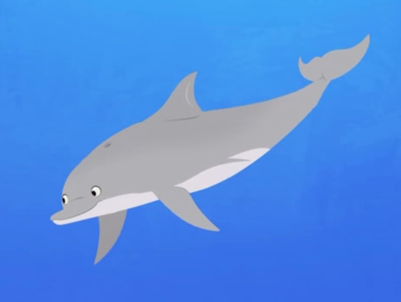 Image - Wild Kratts-dolphin.005.PNG | Ryan's Funny Parts Wikia | FANDOM