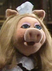 Piggy sketch