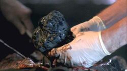 Zombie3
