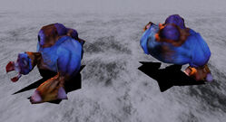 CR-image-Squall 01