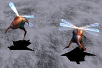 CR-image-Locust 01