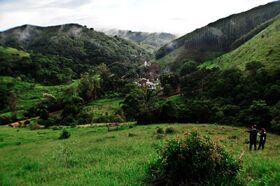 1shire