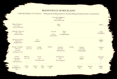 Brandybuck tree