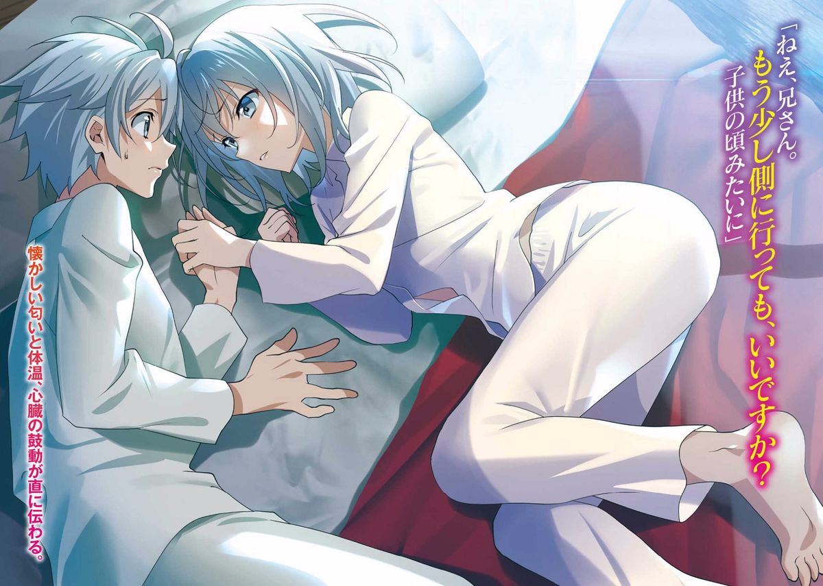 Light Novel Volume 17 Saijaku Muhai No Bahamut Wiki Fandom
