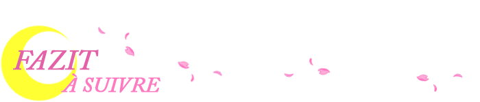 Sailor Moon Banner Fazit