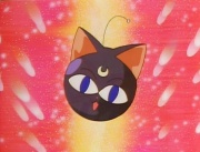 Luna-P