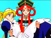 Kakyu usagi