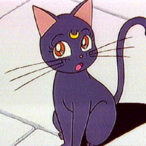 Luna Sailor Moon Wiki Fandom