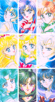 All SAILOR SCOUTS