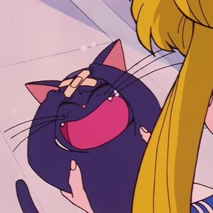 Luna Anime Sailor Moon Wiki Fandom