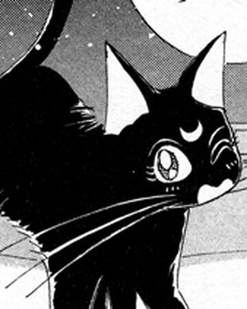 Luna Manga Sailor Moon Wiki Fandom