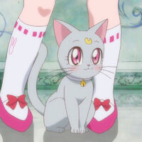 Diana Crystal Sailor Moon Wiki Fandom