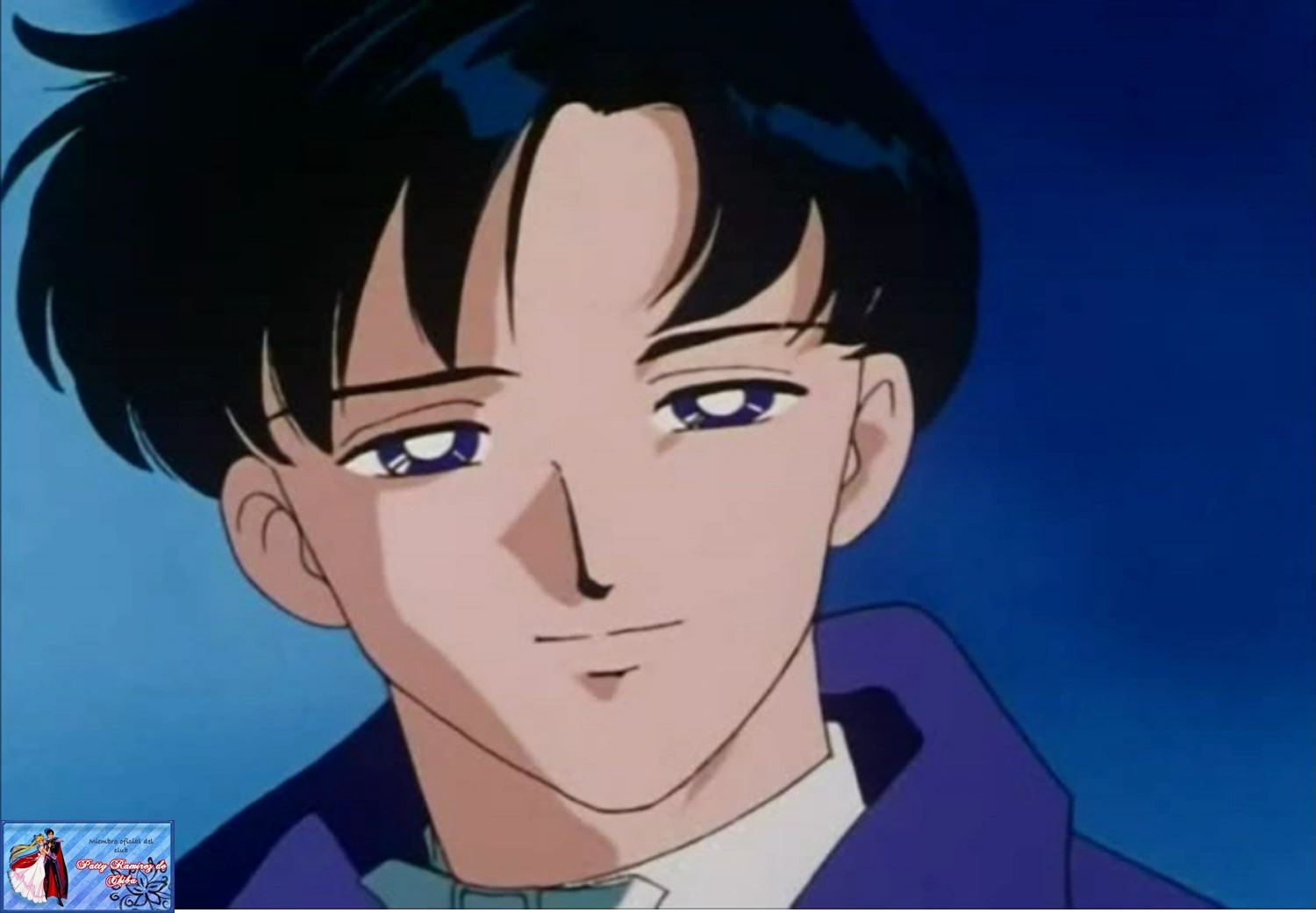 Mamoru Chiba Sailor Moon Wiki FANDOM powered by Wikia