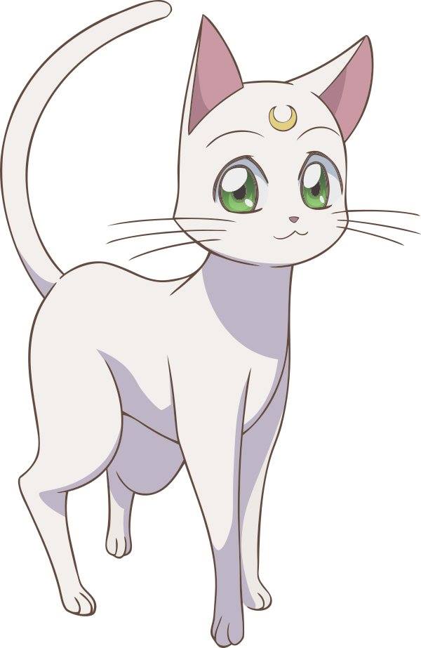 Artemis Image Gallery | Sailor Moon Crystal Wiki | Fandom