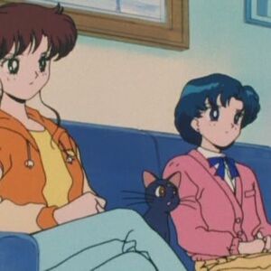 Brotherly Love Sailor Moon Crystal Wiki Fandom