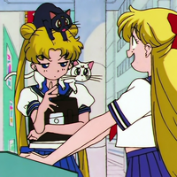 No Turning Back Sailor Moon Dub Wiki Fandom