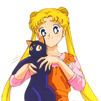 Serena Tsukino Sailor Moon Dub Wiki Fandom