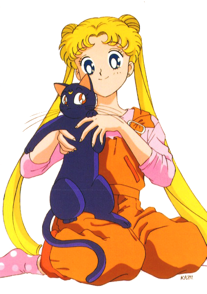 Serena Tsukino | Sailor Moon Dub Wiki | FANDOM powered by Wikia