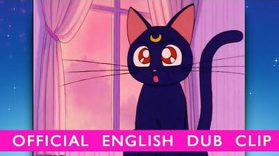 Sailor Moon - OFFICIAL DUB CLIP- Luna Appears! - Own Set 1 on BD DVD 11 11 14