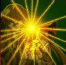 Shaka oce skill 2