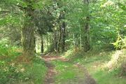 Images-1