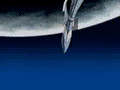 Tumblr static icaro12tw9