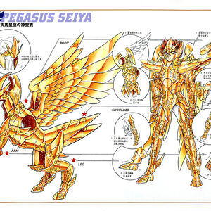 Pegasus Cloth Seiyapedia Fandom