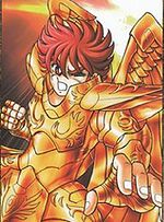 cloth pegasus