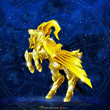 Capricorn Cloth Seiyapedia Fandom