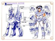 Armadura de Pegaso (Segunda Fase)
